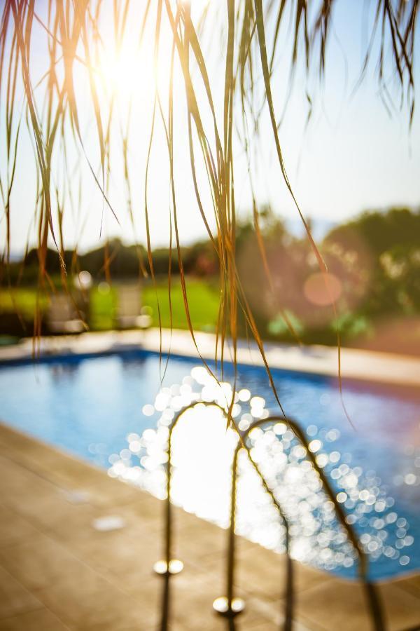 Martimi Apartments - 200M From Drapanias Beach - Pool - Hot Tub - Sauna - Bbq Kíssamos Esterno foto